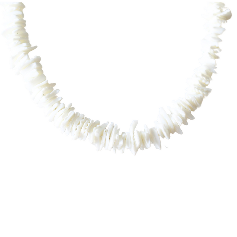 White Shell Necklace