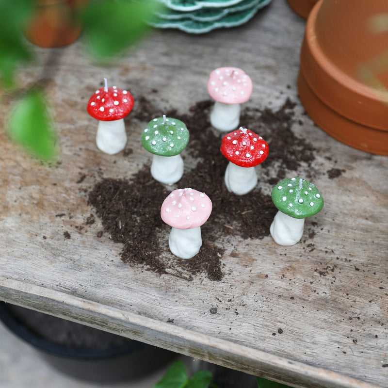 Candle Mushroom Dots - Green