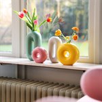 Torus Vase - Pink